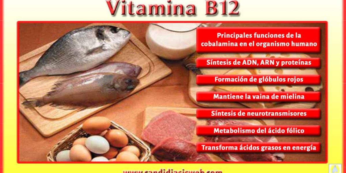 Vitamina B12: qué alimentos la contienen y por qué debes tomarla